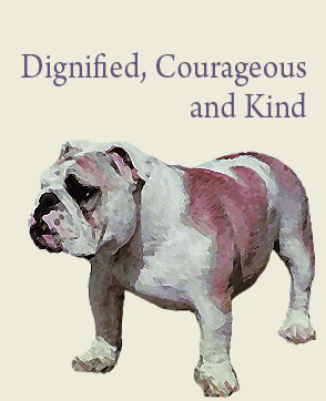 FujiGlow Bulldogs