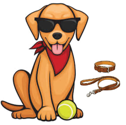 Dog goods coming soon