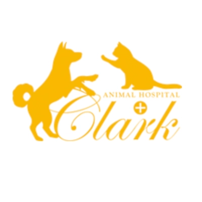 クリニック外観または獣医師写真（北海道）